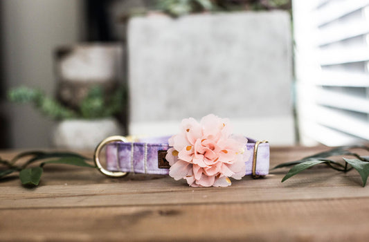 Dog Collar | Floral Dog Collar | Collar Flower Dog Collar | Pink Dog Collar |Puppy Dog Collar | Cat Collar | Girl Dog Collar
