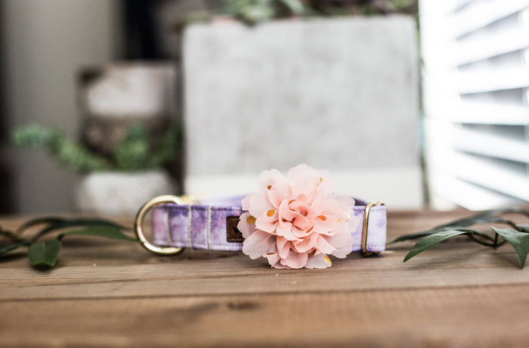 Dog Collar | Floral Dog Collar | Collar Flower Dog Collar | Pink Dog Collar |Puppy Dog Collar | Cat Collar | Girl Dog Collar