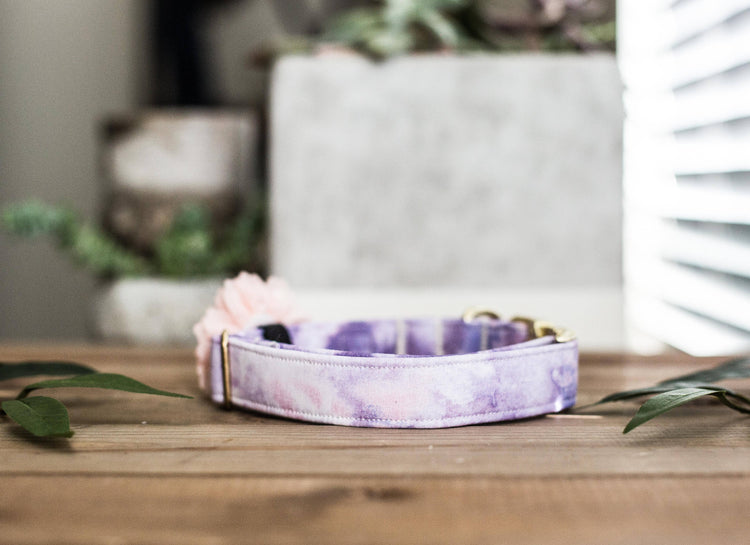 Dog Collar | Floral Dog Collar | Collar Flower Dog Collar | Pink Dog Collar |Puppy Dog Collar | Cat Collar | Girl Dog Collar