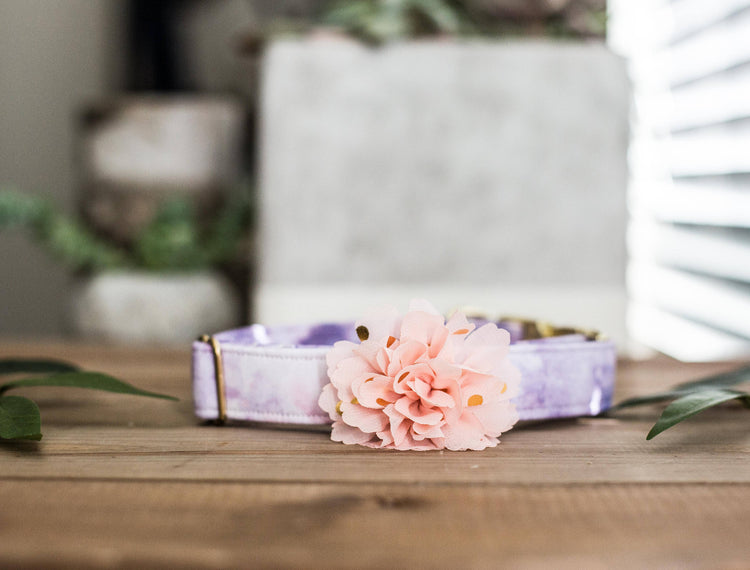 Dog Collar | Floral Dog Collar | Collar Flower Dog Collar | Pink Dog Collar |Puppy Dog Collar | Cat Collar | Girl Dog Collar