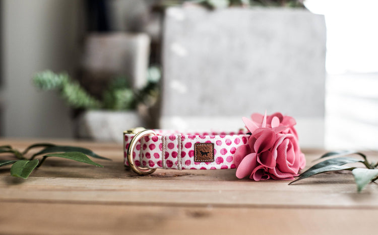 Dog Collar | Dog Collar Flower | Collar Flower | Dog Collars For Girls | Collar Flower For Dogs | Wedding Collar Flower | Pink Collar