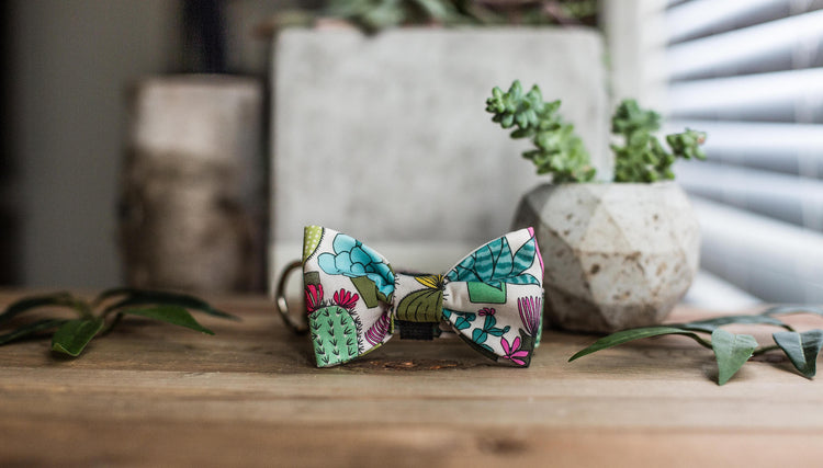 Dog Collar | Succulent Dog Collar | Cactus Dog Collar  | Collar Flower | Dog Collar Flower | Boy Dog Collar | Cat Collar | Puppy Collar