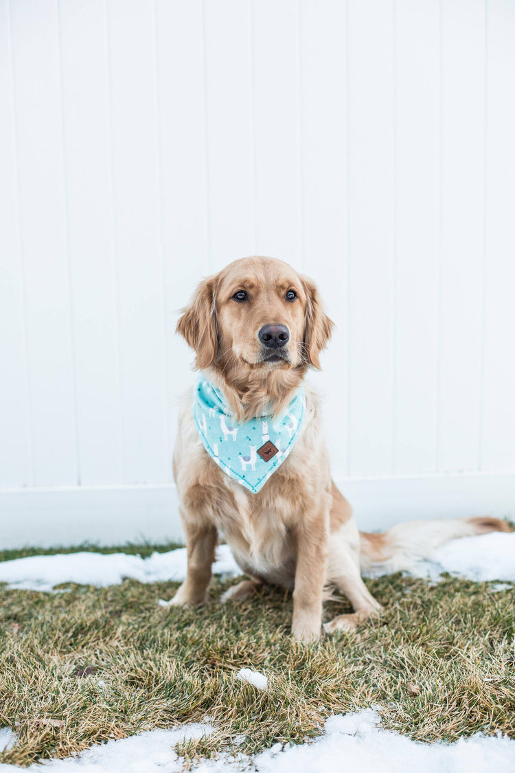 Dog Bandana Dog Collar Over The Collar Bandana Snap On Bandana Boy Dog Bandana Girl Dog Bandana Cute Dog Bandana Pet Accessories Pet Bandana