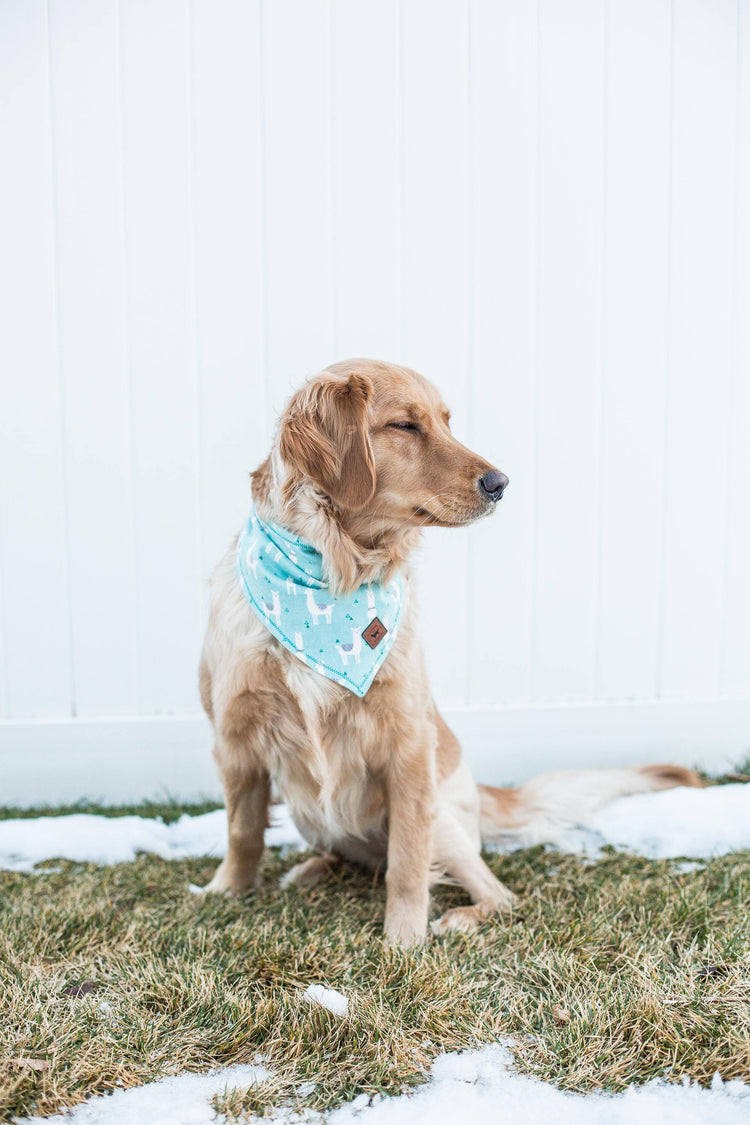 Dog Bandana Dog Collar Over The Collar Bandana Snap On Bandana Boy Dog Bandana Girl Dog Bandana Cute Dog Bandana Pet Accessories Pet Bandana