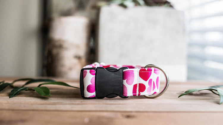Valentine Dog Collar | Dog Collar | Pink Dog Collar  | Hearts Dog Collar