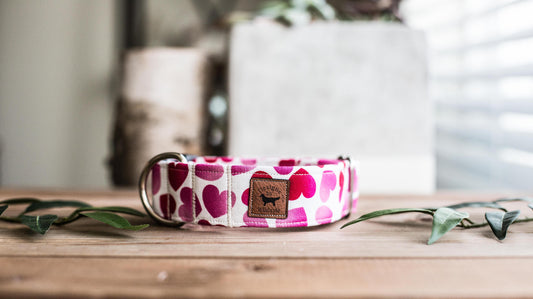Valentine Dog Collar | Dog Collar | Pink Dog Collar  | Hearts Dog Collar