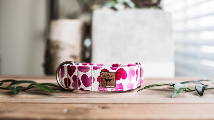 Valentine Dog Collar | Dog Collar | Pink Dog Collar  | Hearts Dog Collar