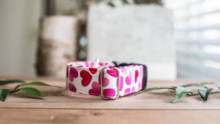 Valentine Dog Collar | Dog Collar | Pink Dog Collar  | Hearts Dog Collar