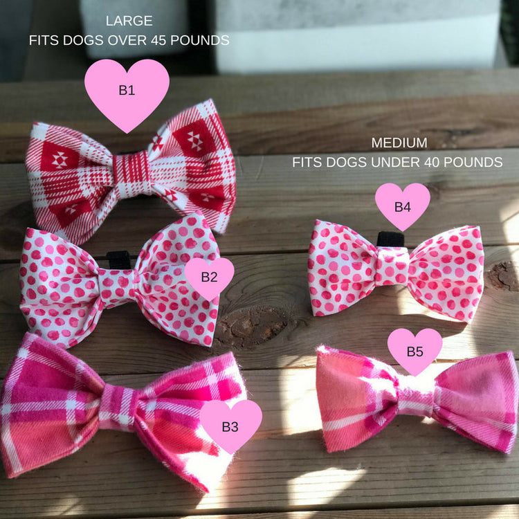 Ready to ship- Valentine's Day Collection, Dog Collars, Collar Flower, Dog Bow Tie