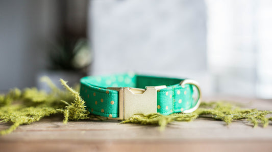 Dog Collar | St. Patties Dog Collar | St. Patrick's Dog Collar | Girl Dog Collar | Green Dog Collar | Boy Dog Collar | Gold Dog Collar