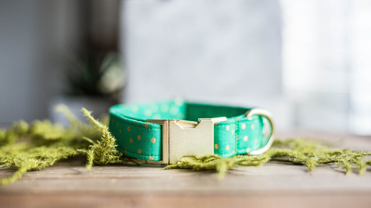 Dog Collar | St. Patties Dog Collar | St. Patrick's Dog Collar | Girl Dog Collar | Green Dog Collar | Boy Dog Collar | Gold Dog Collar