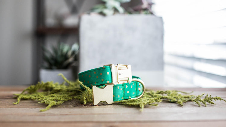 Dog Collar | St. Patties Dog Collar | St. Patrick's Dog Collar | Girl Dog Collar | Green Dog Collar | Boy Dog Collar | Gold Dog Collar