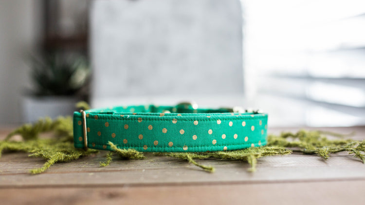 Dog Collar | St. Patties Dog Collar | St. Patrick's Dog Collar | Girl Dog Collar | Green Dog Collar | Boy Dog Collar | Gold Dog Collar