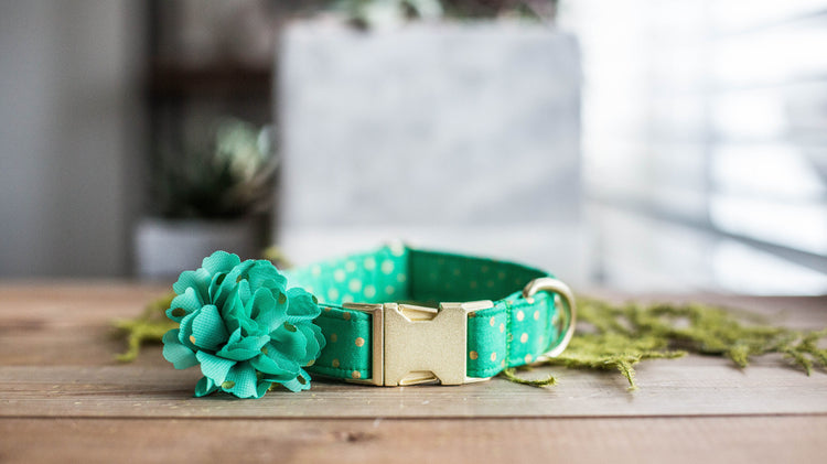 Dog Collar | St. Patties Dog Collar | St. Patrick's Dog Collar | Girl Dog Collar | Green Dog Collar | Boy Dog Collar | Gold Dog Collar