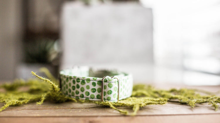 Dog Collar | St. Patties Dog Collar | St. Patrick's Dog Collar | Girl Dog Collar | Green Dog Collar | Boy Dog Collar | Gold Dog Collar