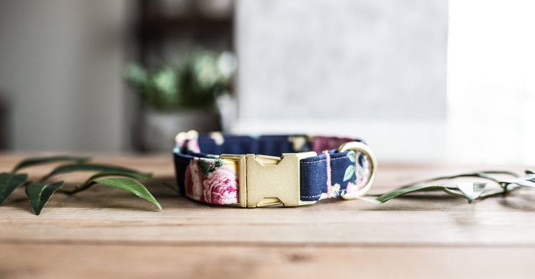 Trendy Dog Collar | Floral Dog Collar | Flower Dog Collar | Girly Dog Collar | Cat Collar | Girl Dog Collar | Female Dog Collar
