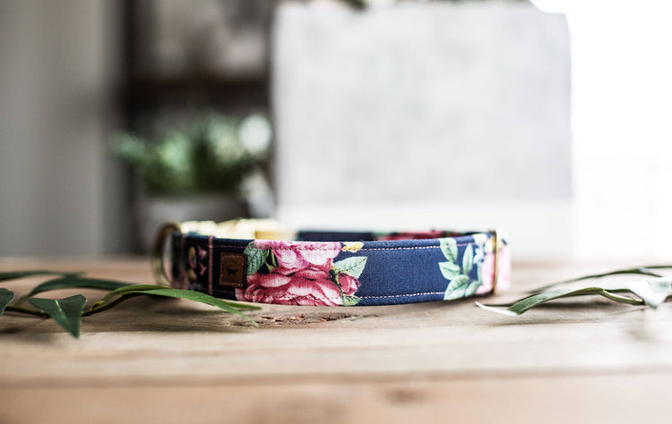 Trendy Dog Collar | Floral Dog Collar | Flower Dog Collar | Girly Dog Collar | Cat Collar | Girl Dog Collar | Female Dog Collar