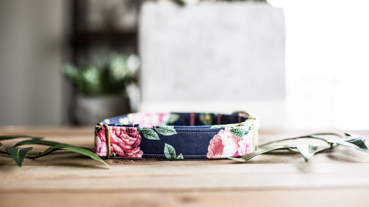 Trendy Dog Collar | Floral Dog Collar | Flower Dog Collar | Girly Dog Collar | Cat Collar | Girl Dog Collar | Female Dog Collar