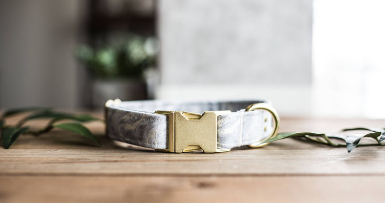Dog Collar | Custom Dog Collar | Gray Dog Collar | Boy Dog Collar | Girl Dog Collar | Gold Dog Collar | Girl Dog Collar | Girly Dog Collar