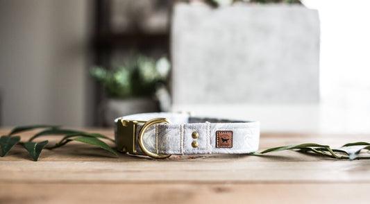 Dog Collar | Custom Dog Collar | Gray Dog Collar | Boy Dog Collar | Girl Dog Collar | Gold Dog Collar | Girl Dog Collar | Girly Dog Collar