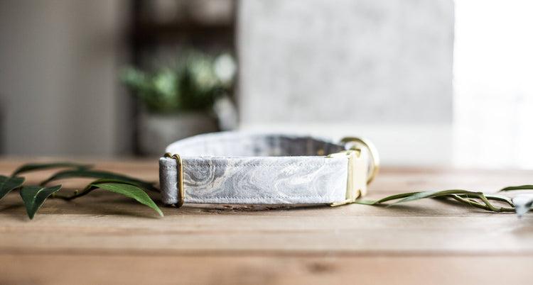 Dog Collar | Custom Dog Collar | Gray Dog Collar | Boy Dog Collar | Girl Dog Collar | Gold Dog Collar | Girl Dog Collar | Girly Dog Collar