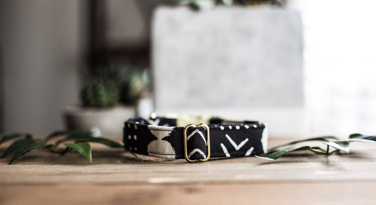 Trendy Dog Collar | Black and Gold Dog Collar | Dog Collar | Preppy Dog Collar | Pet Collar | Girl Dog Collar | Boy Dog Collar