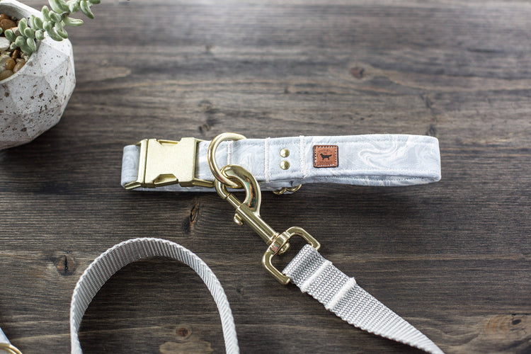 Dog Collar | Dog Leash | Collar Leash Set | Collar and Leash Set | Boy Dog Collar | Girl Dog Collar | Gold Dog Collar | Gray Dog Collar