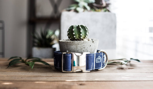 Dog Collar | Succulent Dog Collar | Cactus Dog Collar  | Collar Flower | Dog Collar Flower | Boy Dog Collar | Cat Collar | Puppy Collar