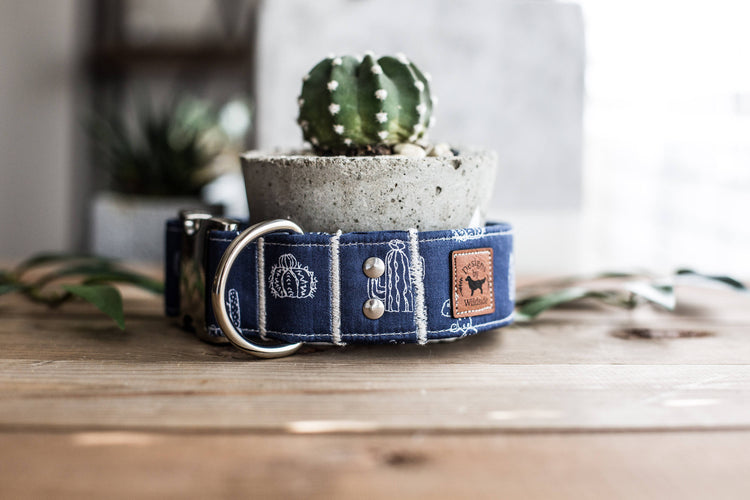 Dog Collar | Succulent Dog Collar | Cactus Dog Collar  | Collar Flower | Dog Collar Flower | Boy Dog Collar | Cat Collar | Puppy Collar