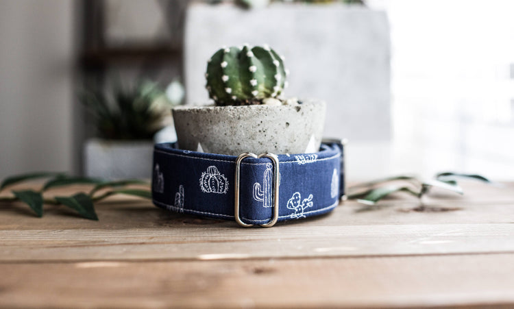 Dog Collar | Succulent Dog Collar | Cactus Dog Collar  | Collar Flower | Dog Collar Flower | Boy Dog Collar | Cat Collar | Puppy Collar