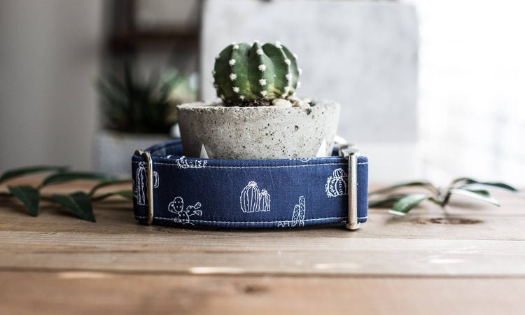 Dog Collar | Succulent Dog Collar | Cactus Dog Collar  | Collar Flower | Dog Collar Flower | Boy Dog Collar | Cat Collar | Puppy Collar