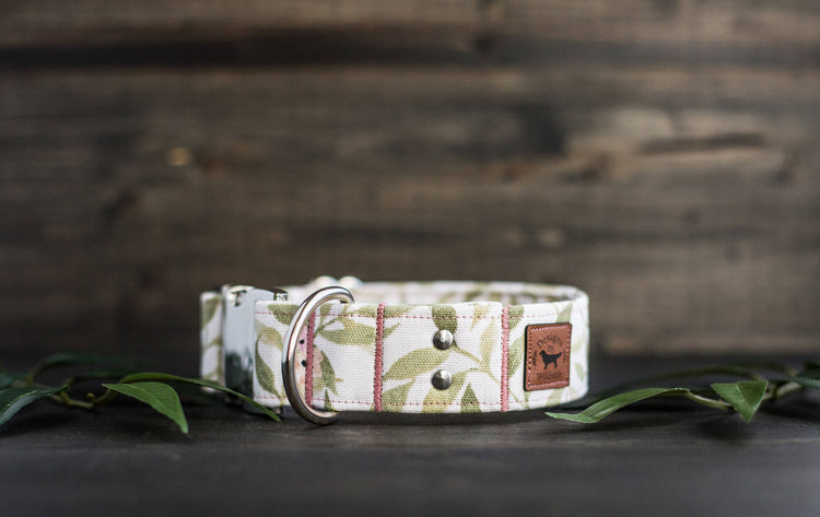 Floral Dog Collar Flower Dog Collar Dog Collars Boho Dog Collar Female Dog Collar Girl Dog Collar Custom Collar Personalized Collar