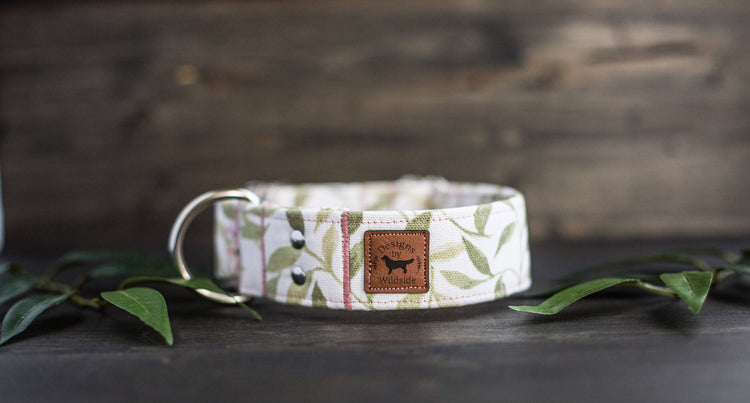 Girl Dog Collar | Floral Dog Collar | Trendy Dog Collar | Girl Dog Collar | Flower Dog Collar | Girly Dog Collar | Cat Collar |