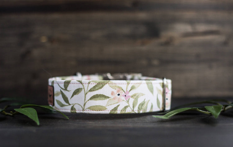 Girl Dog Collar | Floral Dog Collar | Trendy Dog Collar | Girl Dog Collar | Flower Dog Collar | Girly Dog Collar | Cat Collar |