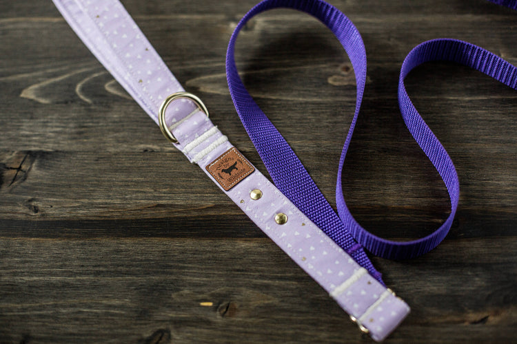 Dog Collar | Dog Leash | Collar Leash Set | Collar and Leash Set | Floral Dog Collar | Vintage Flower Dog Collar | Navy Dog Collar