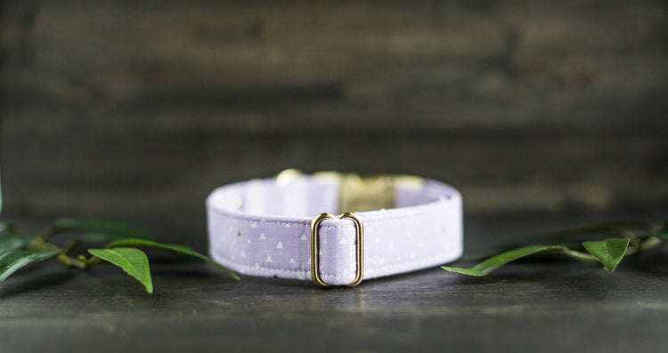 Dog Collar | Girl Dog Collar | Female Dog Collar  | Purple Dog Collar | Girly Dog Collar | Gold Dog Collar | Cat Collar | Puppy Collar