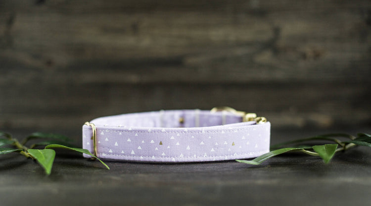 Dog Collar | Girl Dog Collar | Female Dog Collar  | Purple Dog Collar | Girly Dog Collar | Gold Dog Collar | Cat Collar | Puppy Collar