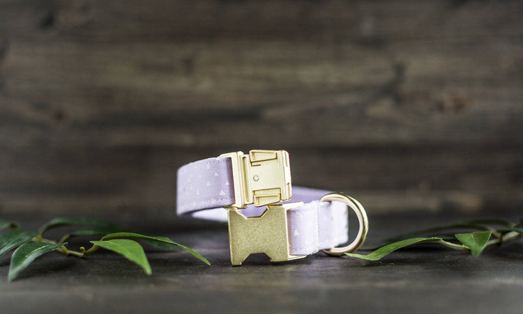 Dog Collar | Girl Dog Collar | Female Dog Collar  | Purple Dog Collar | Girly Dog Collar | Gold Dog Collar | Cat Collar | Puppy Collar