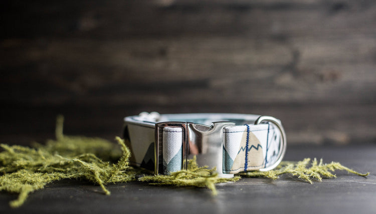 Dog Collar | Boy Dog Collar | Blue Dog Collar | Puppy Collar | Mountain Dog Collar | Adventure Collar |Male Dog Collar |Woodland Dog Collar
