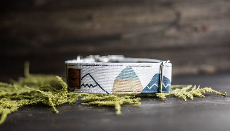 Dog Collar | Boy Dog Collar | Blue Dog Collar | Puppy Collar | Mountain Dog Collar | Adventure Collar |Male Dog Collar |Woodland Dog Collar