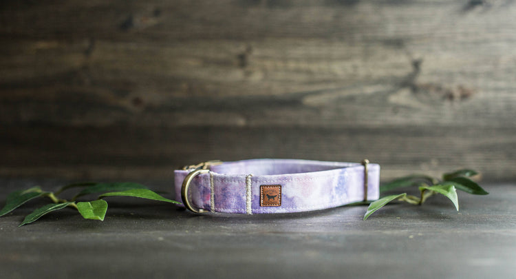 Trendy Dog Collar | Floral Dog Collar | Flower Dog Collar | Girly Dog Collar | Girl Dog Collar | Female Dog Collar | Purple Collar
