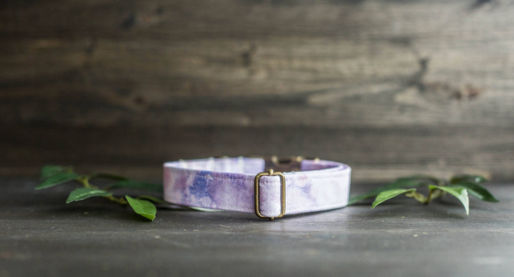 Trendy Dog Collar | Floral Dog Collar | Flower Dog Collar | Girly Dog Collar | Girl Dog Collar | Female Dog Collar | Purple Collar