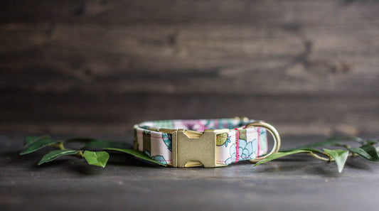 Trendy Dog Collar | Floral Dog Collar | Cactus Dog Collar | Girly Dog Collar | Succulent Dog Collar | Girl Dog Collar | Female Dog Collar