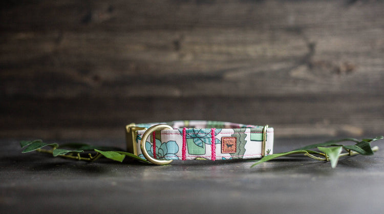 Trendy Dog Collar | Floral Dog Collar | Cactus Dog Collar | Girly Dog Collar | Succulent Dog Collar | Girl Dog Collar | Female Dog Collar