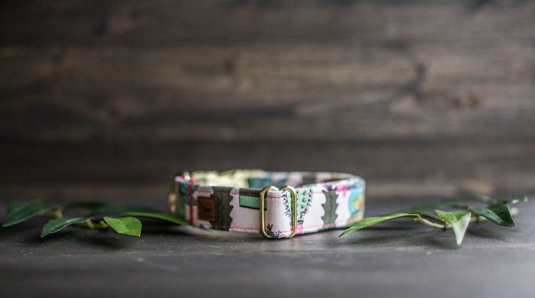 Trendy Dog Collar | Floral Dog Collar | Cactus Dog Collar | Girly Dog Collar | Succulent Dog Collar | Girl Dog Collar | Female Dog Collar