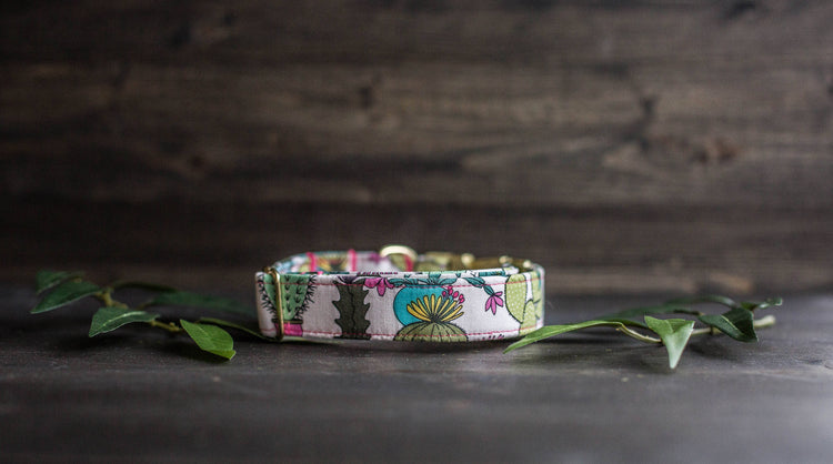 Trendy Dog Collar | Floral Dog Collar | Cactus Dog Collar | Girly Dog Collar | Succulent Dog Collar | Girl Dog Collar | Female Dog Collar