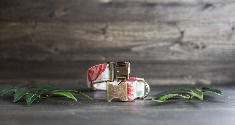 Trendy Dog Collar | Floral Dog Collar | Flower Dog Collar | Girly Dog Collar | Cat Collar | Girl Dog Collar | Female Dog Collar