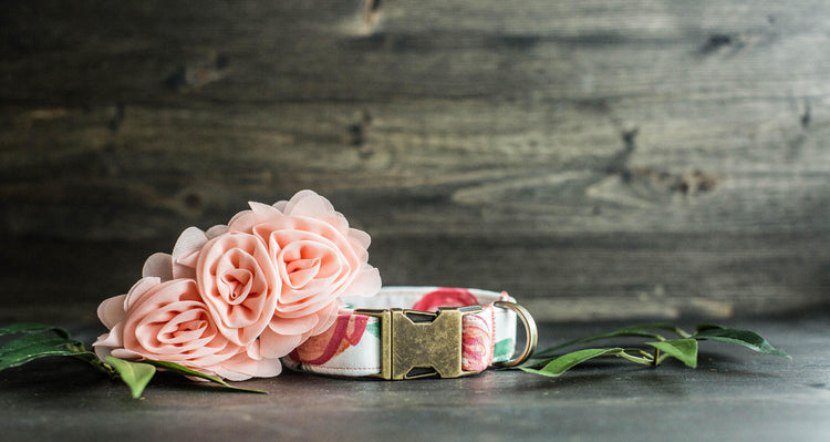 Trendy Dog Collar | Floral Dog Collar | Flower Dog Collar | Girly Dog Collar | Cat Collar | Girl Dog Collar | Female Dog Collar