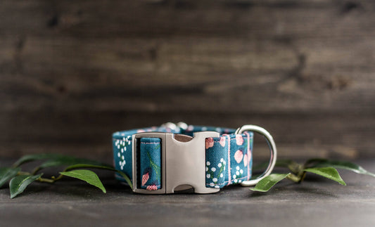 Trendy Dog Collar Floral Dog Collar Flower Dog Collar Girly Dog Collar Cat Collar Girl Dog Collar  Female Dog Collar Teal Dog Collar