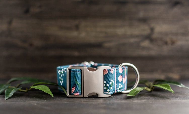 Trendy Dog Collar Floral Dog Collar Flower Dog Collar Girly Dog Collar Cat Collar Girl Dog Collar  Female Dog Collar Teal Dog Collar